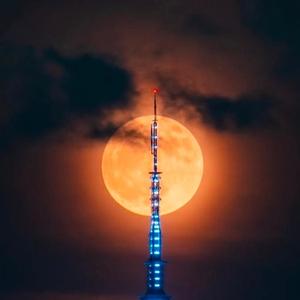 $igns (feat. Lil Zo)