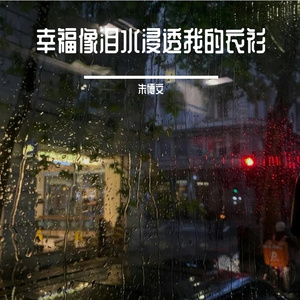 幸福像泪水浸透我的衣衫