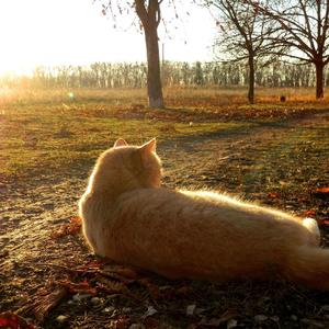 我的心借了你的光是明是暗