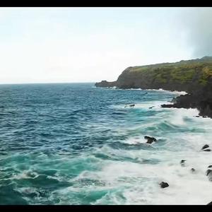 杨涛-化身孤岛的鲸