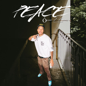 La Vida en Perspectiva