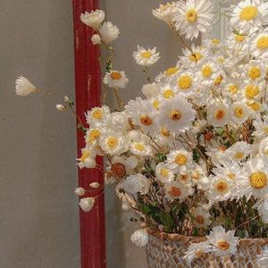 想把我唱给你听