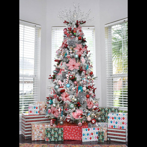 THIER EYES ON CHRISTMAS