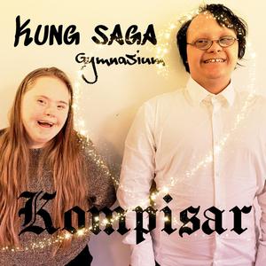 Kompisar