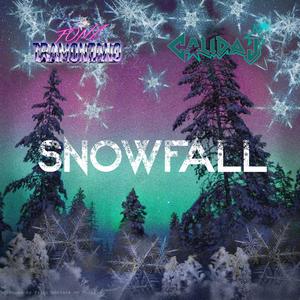 Snowfall