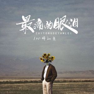 最痛的眼泪(伴奏)