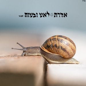 לאט ובטוח