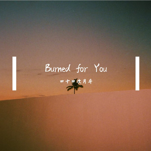 Burned for You