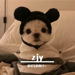 情非得意