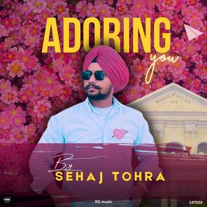 Adoring you (feat. RG music)