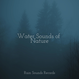 The Murky Melody of Croak Creek