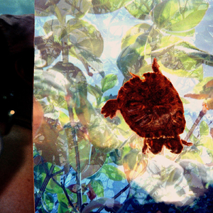 Alien Trill (Live) [feat. Sfuad Choir]