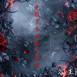 先敬罗衣后敬人