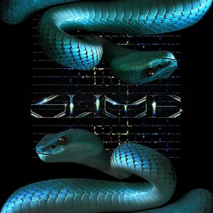 Slime (feat. DJ Get Bizzy)