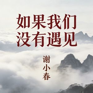 如果我们没有遇见