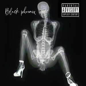 黑凤凰Black Phoenix