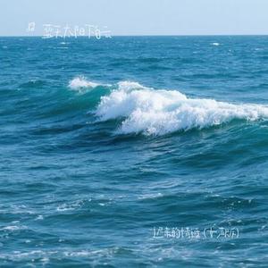 迟来的情话  (Cover Zkaaai)