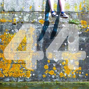 44