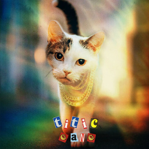 TITIC GANG