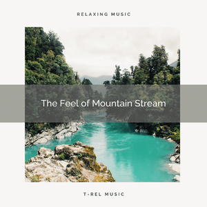 Wild Water Vibes for Relax