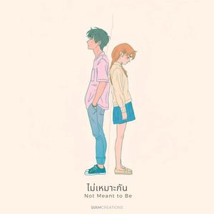 ไม่เหมาะกัน (Not Meant to Be)