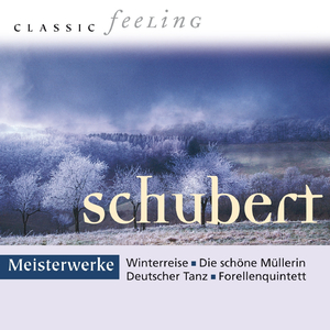 Sinfonie No. 8 in B Minor, D. 759 "Unvollendete": II. Andante con moto in B Minor