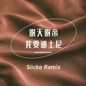 谢天谢帝(Siicko Remix)