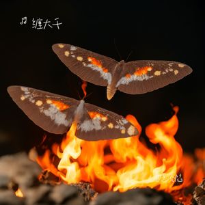 每一句都是我爱你 伴奏