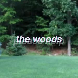the woods
