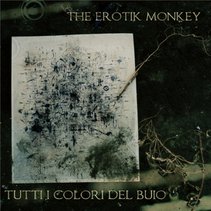Voci