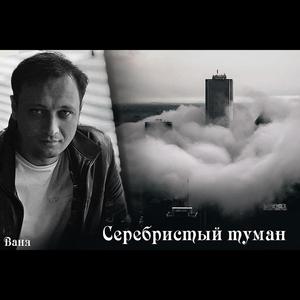 Серебристый туман