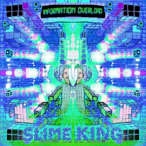 Information Overload