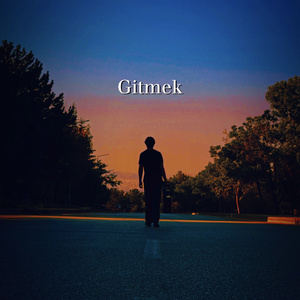 Gitmek
