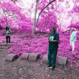 Patience Is Bitter But Its Fruit is Sweet (feat. G. Calvin Weston & Timothy Ragsdale)