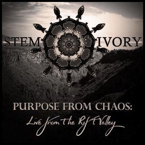 Can't Lose 'em All (Live)