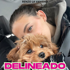 Delineado