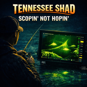 Scopin' Not Hopin'