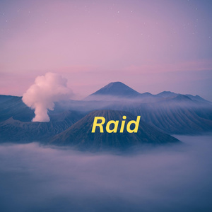 Raid