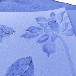 弱水三千（COVER:石头/张晓棠）