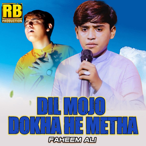 Dil Mojo Dokha He Metha