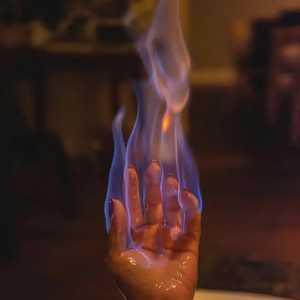 何时葡萄先熟透