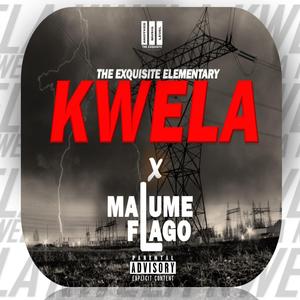 Kwela (feat. Malume Flago)