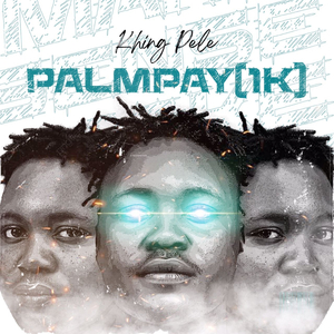 PalmPay (1K)