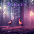 鸡JioJio