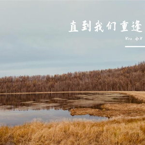 直到我们重逢