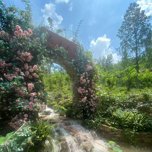 你爱我我也只爱你