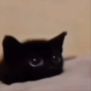 Jumping Is Not a Crime 2k21