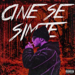 CINE SE SIMTE