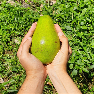 Corazon Celeste (feat. Laura Andrea Perez Duque)