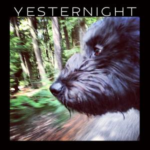 To the Pain (God's Theme)